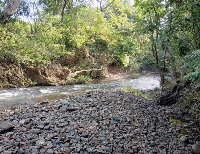 Imagen de bien en venta ubicado en: Herrera, Ocú, Los Llanos, Los Llanos, Camino a El Suay a Los Salitres