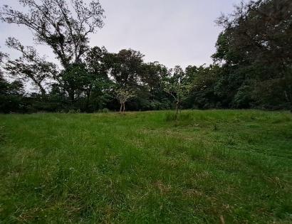 Imagen de bien en venta ubicado en: Veraguas, Soná, La Soledad, La Soledad, San Juanito