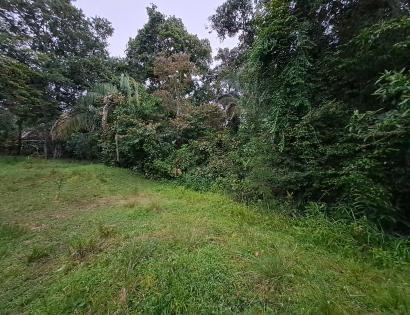Imagen de bien en venta ubicado en: Veraguas, Soná, La Soledad, La Soledad, San Juanito