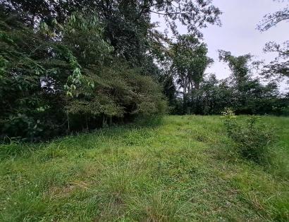 Imagen de bien en venta ubicado en: Veraguas, Soná, La Soledad, La Soledad, San Juanito