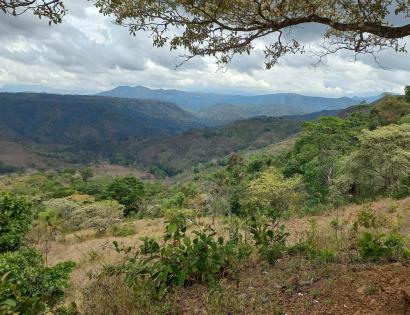 Imagen de bien en venta ubicado en: Chiriquí, Tolé, Cerro Viejo, Bda. Cerro Viejo, 