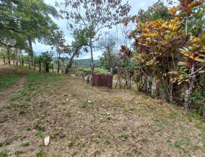 Imagen de bien en venta ubicado en: Chiriquí, Tolé, Cerro Viejo, Bda. Cerro Viejo, 