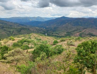 Imagen de bien en venta ubicado en: Chiriquí, Tolé, Cerro Viejo, Bda. Cerro Viejo, 