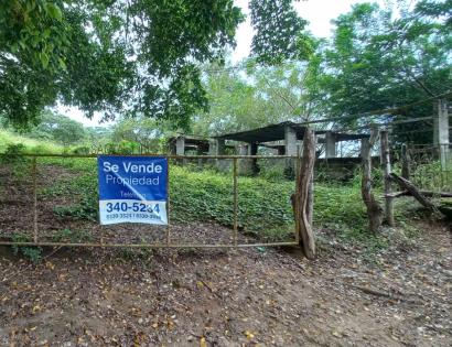 Imagen de bien en venta ubicado en: Los Santos, Las Tablas, La Palma, Saladito