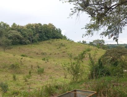 Imagen de bien en venta ubicado en: Los Santos, Las Tablas, La Palma, Saladito