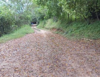 Imagen de bien en venta ubicado en: Los Santos, Las Tablas, La Palma, Saladito