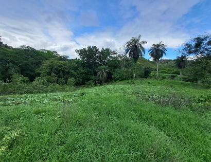 Imagen de bien en venta ubicado en: Los Santos, Las Tablas, Bayano, Bayano, Bayano
