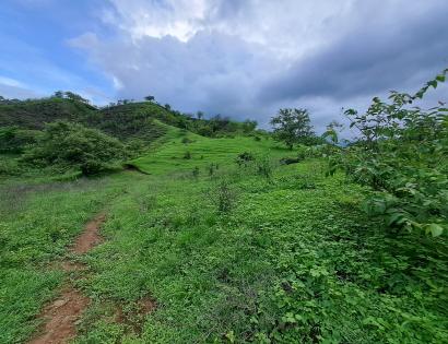 Imagen de bien en venta ubicado en: Los Santos, Las Tablas, Bayano, Bayano, Bayano
