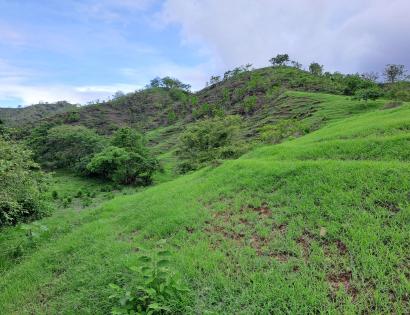 Imagen de bien en venta ubicado en: Los Santos, Las Tablas, Bayano, Bayano, Bayano
