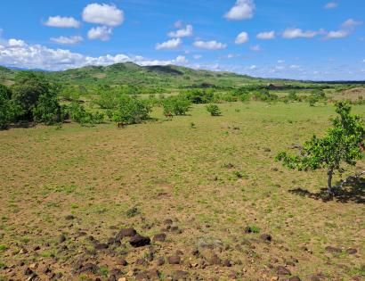 Imagen de bien en venta ubicado en: Veraguas, Santiago, La Peña, San Pedrito, Llano Del Castillo