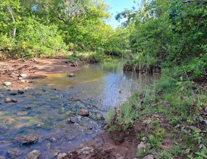 Imagen de bien en venta ubicado en: Veraguas, Santiago, La Peña, San Pedrito, Llano Del Castillo
