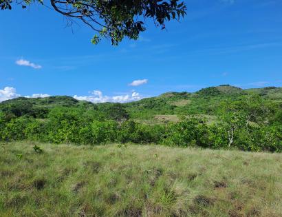 Imagen de bien en venta ubicado en: Veraguas, Santiago, La Peña, San Pedrito, Llano Del Castillo