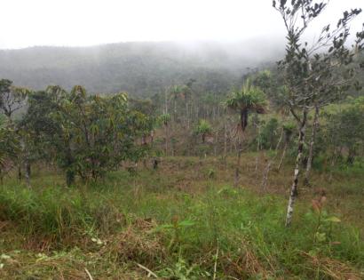 Imagen de bien en venta ubicado en: Panamá, Panamá, Pacora, Cerro Azul Altos del Centinela , Calle Cerro Jefe Lote 184-A