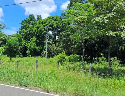 Imagen de bien en venta ubicado en: Veraguas, Soná, Soná, Tobálico, carretera Nacional hacia Las Palmas, Frente El Espino