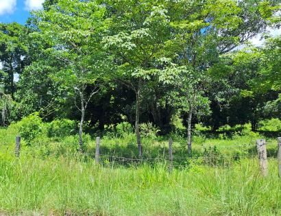 Imagen de bien en venta ubicado en: Veraguas, Soná, Soná, Tobálico, carretera Nacional hacia Las Palmas, Frente El Espino