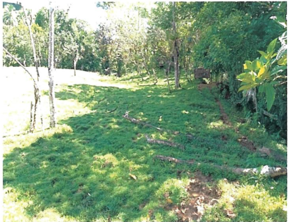 Imagen de bien en venta ubicado en: Coclé, La Pintada, El Harino, San Juan de Turbe, 