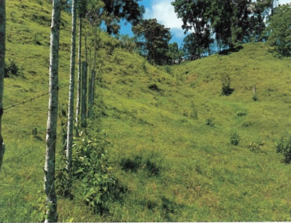 Imagen de bien en venta ubicado en: Coclé, La Pintada, El Harino, San Juan de Turbe, 