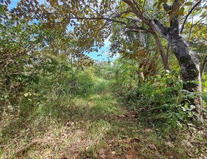 Imagen de bien en venta ubicado en: Los Santos, Macaracas, Macaracas, Botello, 
