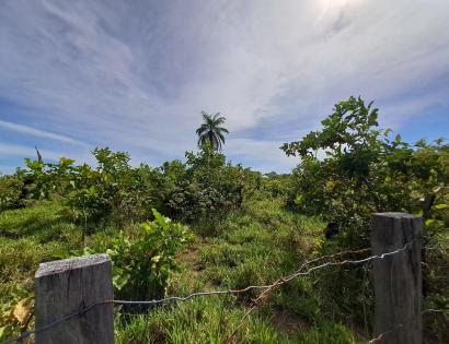 Imagen de bien en venta ubicado en: Los Santos, Macaracas, Macaracas, Botello, 
