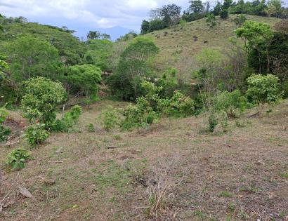 Imagen de bien en venta ubicado en: Darién, Chepigana, Río Congo Arriba, Sector de Arenal, Carretera que comunica a Platanillo con buena vista