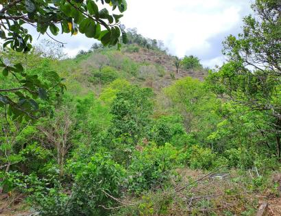 Imagen de bien en venta ubicado en: Darién, Chepigana, Río Congo Arriba, Sector de Arenal, Carretera que comunica a Platanillo con buena vista