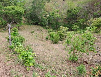 Imagen de bien en venta ubicado en: Darién, Chepigana, Río Congo Arriba, Sector de Arenal, Carretera que comunica a Platanillo con buena vista