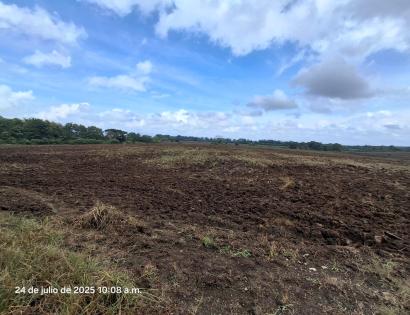 Imagen de bien en venta ubicado en: Panamá, Chepo, Tortí, Chepo, Clarita