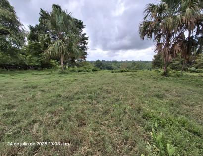 Imagen de bien en venta ubicado en: Panamá, Chepo, Tortí, Chepo, Clarita