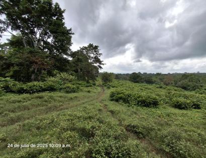 Imagen de bien en venta ubicado en: Panamá, Chepo, Tortí, Chepo, Clarita
