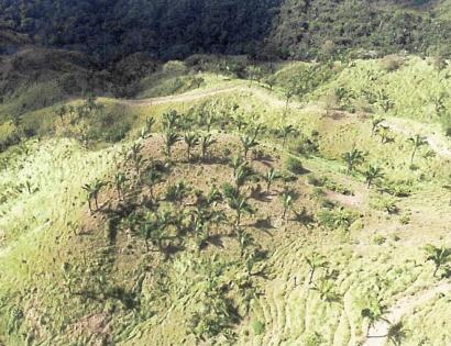 Imagen de bien en venta ubicado en: Veraguas, Santiago, Ponuga, Las Tranquillas, 