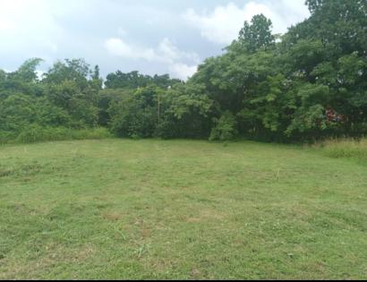 Imagen de bien en venta ubicado en: Panamá Oeste, Chame, Las Lajas, Urb. Villas Campestre D'Lajas, Lote 10