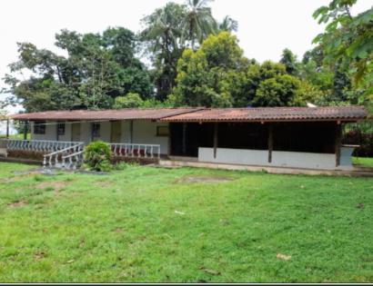 Imagen de bien en venta ubicado en: Veraguas, Mariato, Llano de Catival, Palo Seco, 
