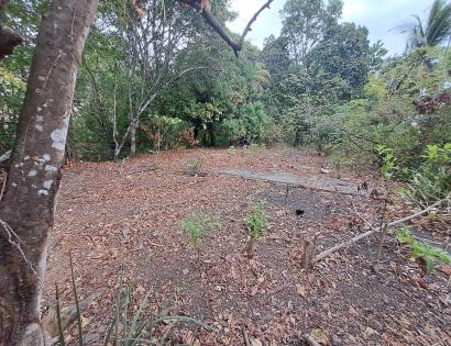 Imagen de bien en venta ubicado en: Los Santos, Tonosí, Guánico, Camino de la zapatosa Ave. María, vía de Guánico Arriba a Cambutal, El poblado de La Zapatosa