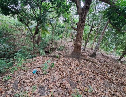 Imagen de bien en venta ubicado en: Los Santos, Tonosí, Guánico, Camino de la zapatosa Ave. María, vía de Guánico Arriba a Cambutal, El poblado de La Zapatosa