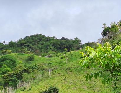 Imagen de bien en venta ubicado en: Darién, Chepigana, Cucunatí, Cucunatí, 