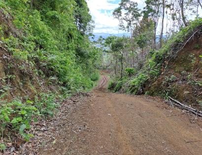 Imagen de bien en venta ubicado en: Darién, Chepigana, Cucunatí, Cucunatí, 