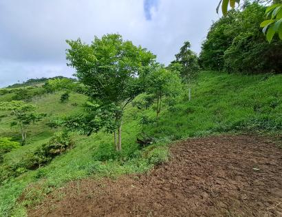 Imagen de bien en venta ubicado en: Darién, Chepigana, Cucunatí, Cucunatí, 