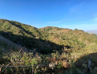 Imagen de bien en venta ubicado en: Los Santos, Tonosí, El Cortezo, La Pintada, El Cortezo