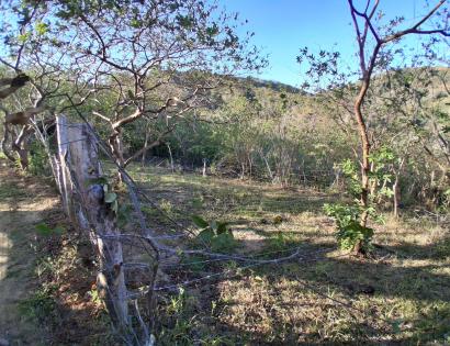 Imagen de bien en venta ubicado en: Los Santos, Tonosí, El Cortezo, La Pintada, El Cortezo