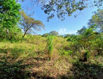 Imagen de bien en venta ubicado en: Chiriquí, Alanje, Divalá, Los Limones, a 19.6 km de la carretera interamericana 