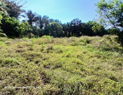 Imagen de bien en venta ubicado en: Chiriquí, Alanje, Divalá, Los Limones, a 19.6 km de la carretera interamericana 