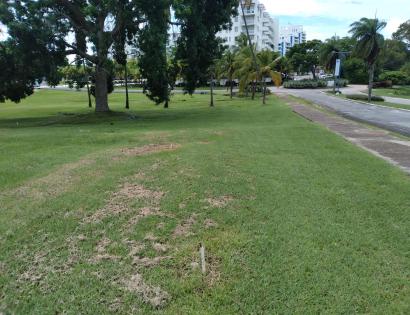 Imagen de bien en venta ubicado en: Coclé, Antón, Río Hato, Playa Blanca, Boulevard Playa Blanca