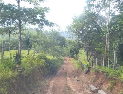 Imagen de bien en venta ubicado en: Darién, Chepigana, Río Congo, Barriales