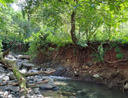 Imagen de bien en venta ubicado en: Veraguas, Soná, Bahía Honda, Cabecera del Río Salmonete, 