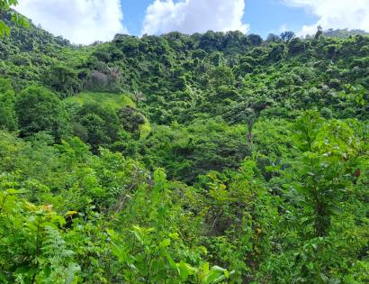 Imagen de bien en venta ubicado en: Veraguas, Soná, Bahía Honda, Cabecera del Río Salmonete, 