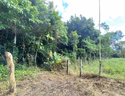 Imagen de bien en venta ubicado en: Chiriquí, Dolega, Potrerillos, Potrerillos Arriba