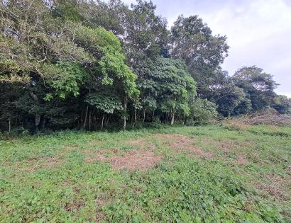 Imagen de bien en venta ubicado en: Chiriquí, Dolega, Potrerillos, Potrerillos Arriba