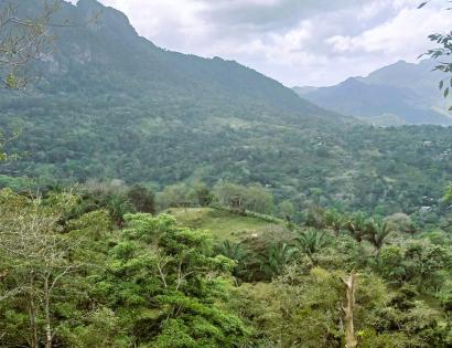Imagen de bien en venta ubicado en: Panamá Oeste, Capira, Lídice, Cerro Ojo de Agua, 