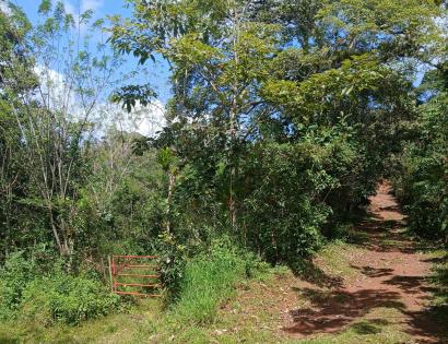 Imagen de bien en venta ubicado en: Panamá Oeste, Capira, Lídice, Cerro Ojo de Agua, 