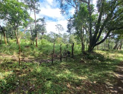 Imagen de bien en venta ubicado en: Chiriquí, Dolega, Potrerillos, Potrerillos Arriba